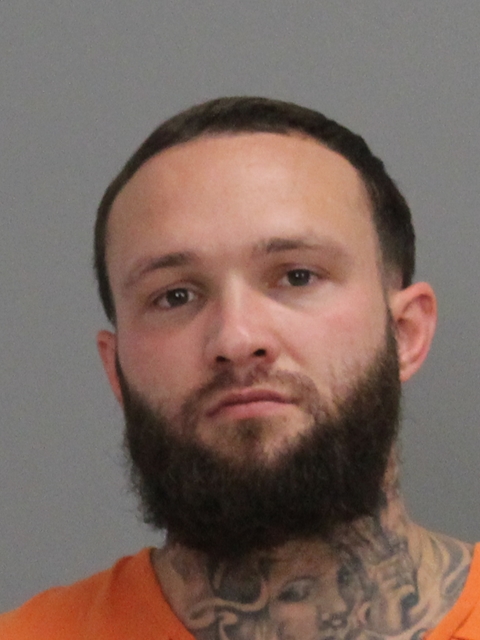 THAYER, TYLER DELANE booking photo