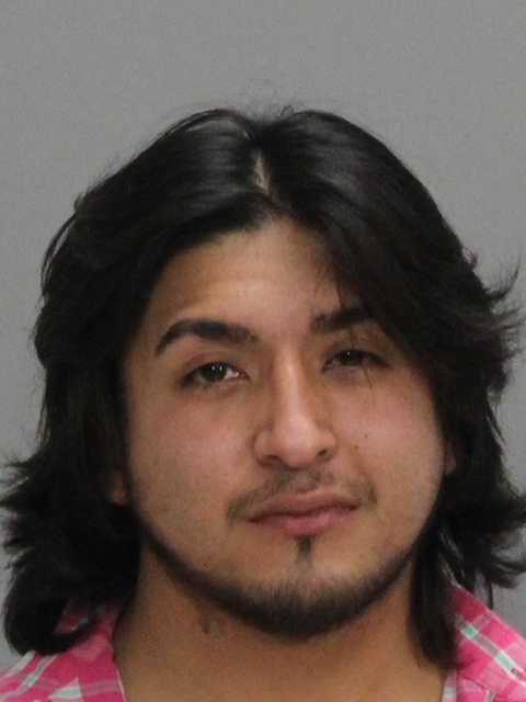 PEREZ, JULIO CESAR booking photo