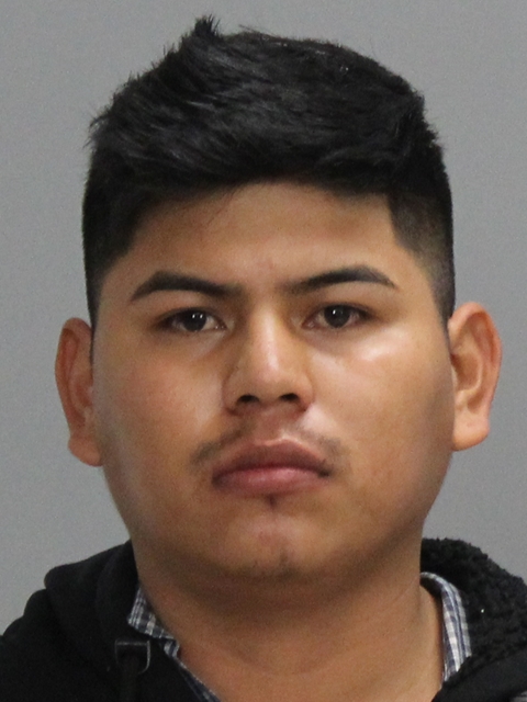 DE LOS SANTOS, RAMIRO booking photo