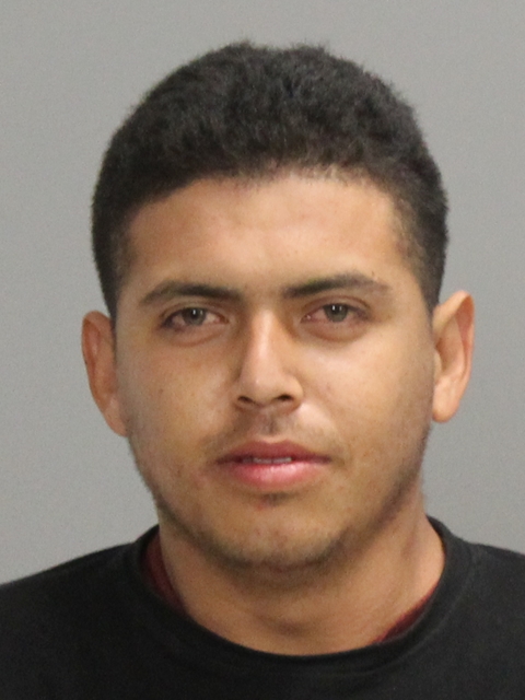 VILLEGAS, WILSON DAVID booking photo