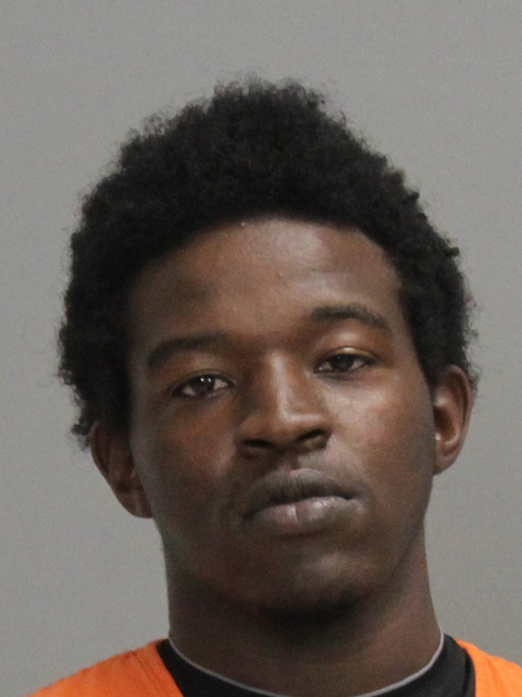 WATKINS, THOMAS DIOR-RUJHON booking photo