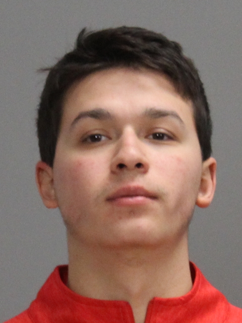 DELVALLE, MARCELO ALEJANDRO booking photo