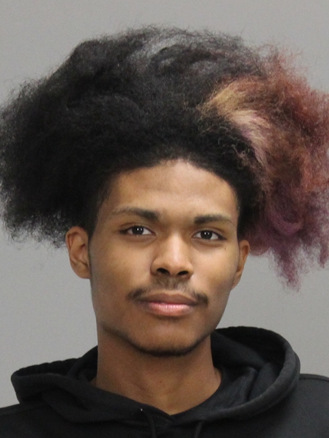 WARREN, VINCENT SANDERELL booking photo