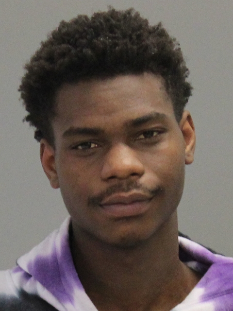WILLIAMS, TAYSHAWN L booking photo