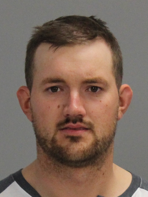 JOHNSON, TREVOR STANLEY booking photo