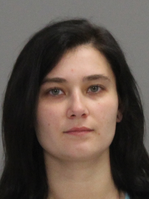 HOLLAND, COURTNEY TAYLOR booking photo