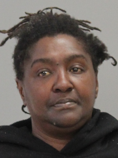 GAMBLE, PATRICIA ANN booking photo