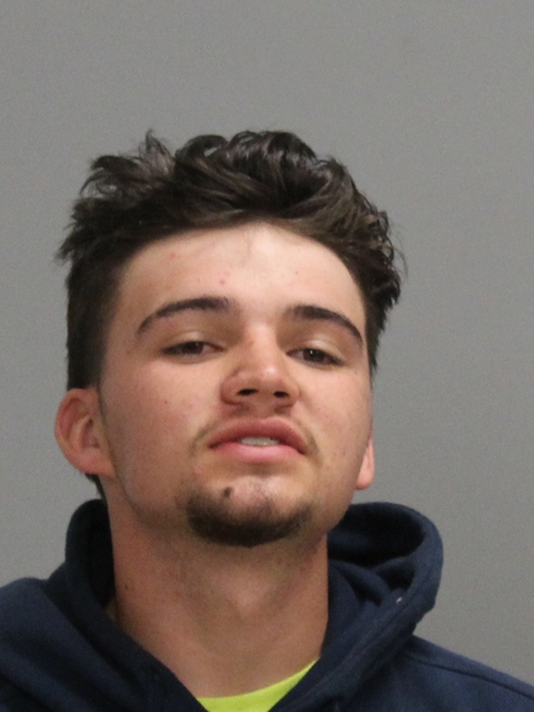 Sevcik, Garrett Alan booking photo