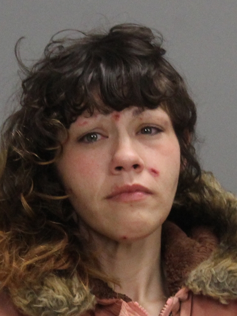LONG, HOLLY MARIE booking photo