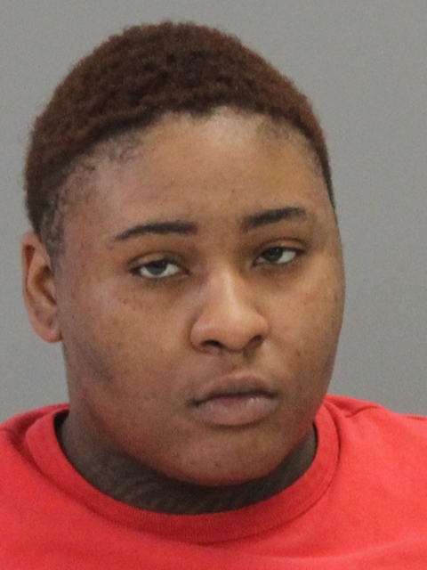 Love, Brianna Reajean booking photo