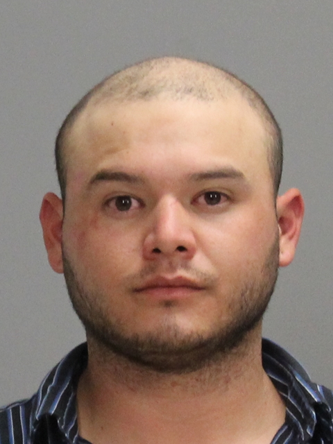 ARREOLA, MARVIN REY booking photo