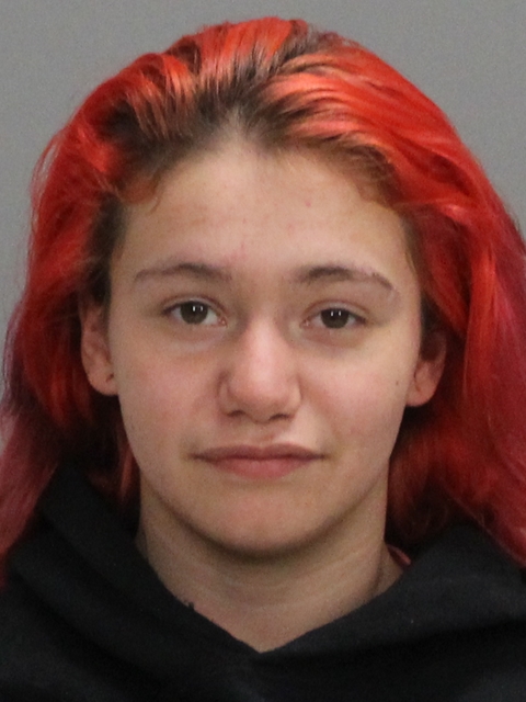 SHANE, RANDI booking photo