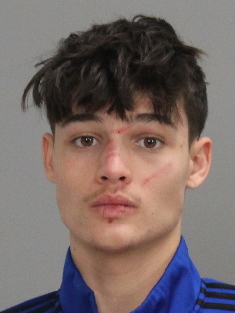 SCHOEN, ANDERS GILLIAM booking photo