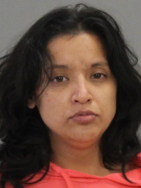 THOMPSON, REGINA SUE booking photo