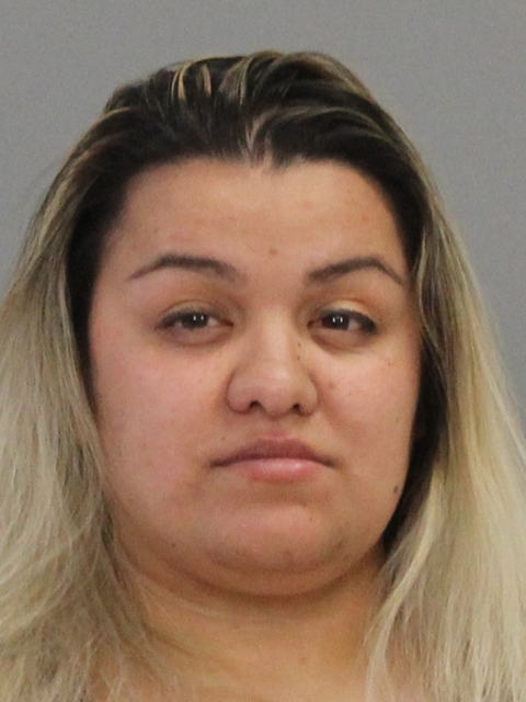 MEDINA, CARMEN LEE booking photo