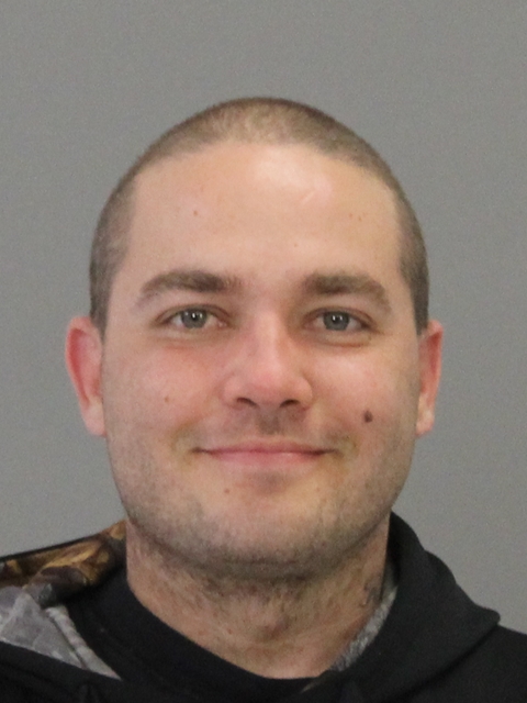 VINCENT, DAVID LEE booking photo