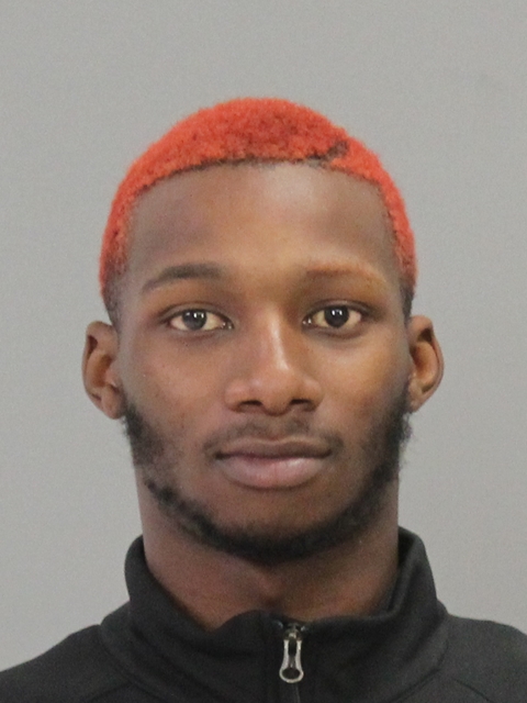 LEWIS, TERVARIN DANYELL booking photo