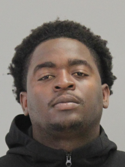 GIBSON, TRESTON DENNITRIC booking photo