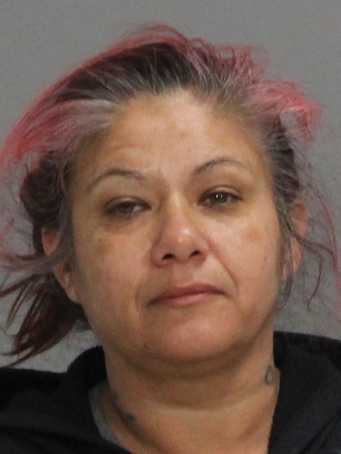 MEZA, LORI ANN booking photo