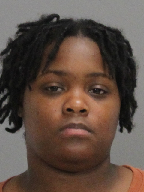 BARNES, WARRENISHA CHERYLNELL booking photo