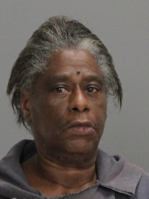 ROBERSON, BRIGETT LAVEL booking photo