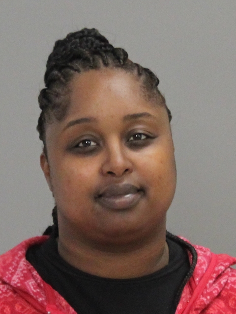 HAWKINS, SANDRA ELAINE arrested by Brazos County SO/PD