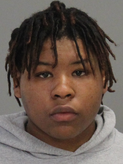 GIBSON, CHARNELL PAULETTE arrested by Brazos County SO/PD