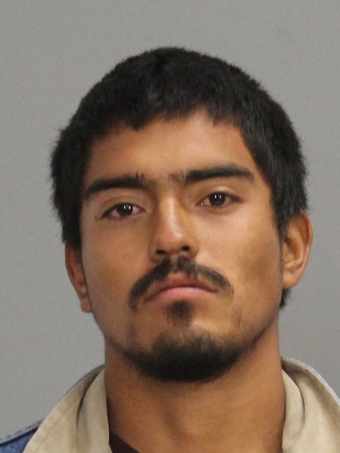 MEDRANO, FRANCISCO JR booking photo