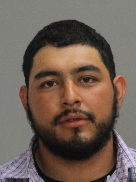 CASTILLO, GERMAN, Jr booking photo