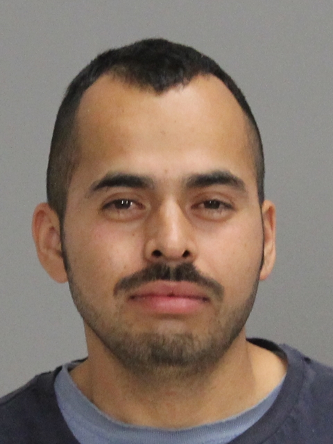 Moreno Castillo, Salvador booking photo