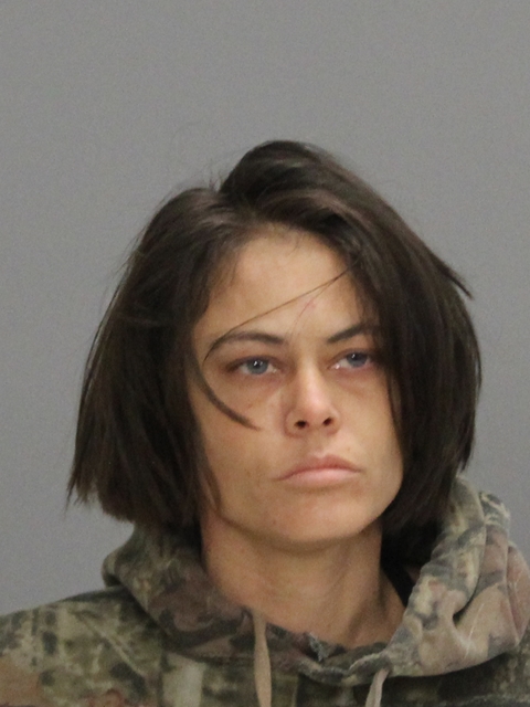 Bohl, Bree Nicole booking photo
