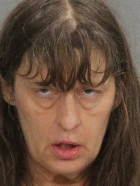 SCHULTZ, TRACY DLANE arrested by Brazos County SO/PD