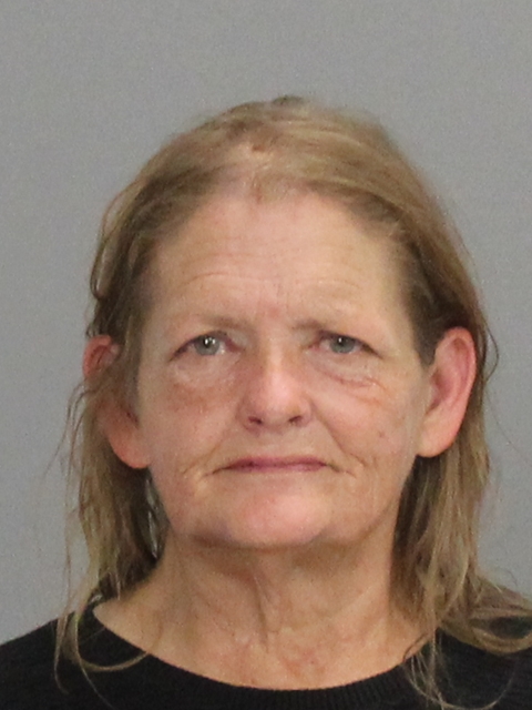 WILLS, DEBRA BAGGERLY arrested by Brazos County SO/PD