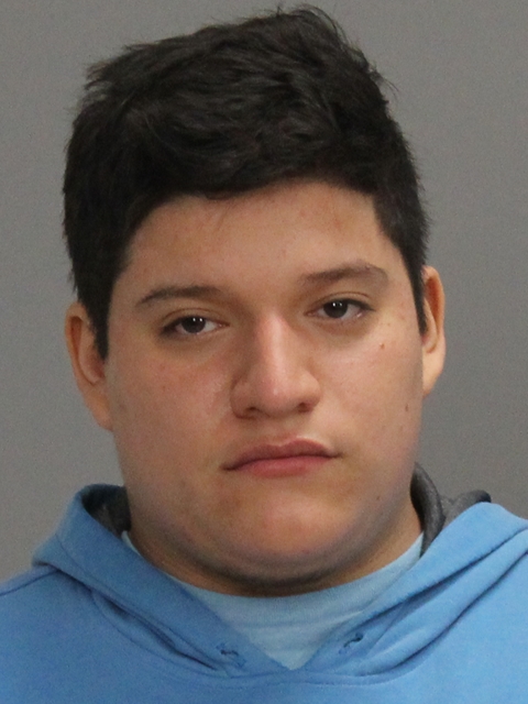 BACELIS, PATRICK EDWARD arrested by Brazos County SO/PD