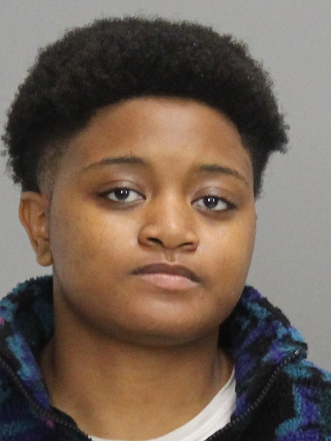 BUSBY, TYEQUISHA DASHUN booking photo