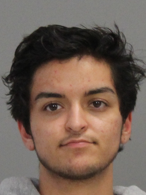 JOHNSON, MATHEA PRISCILLA IRENE booking photo