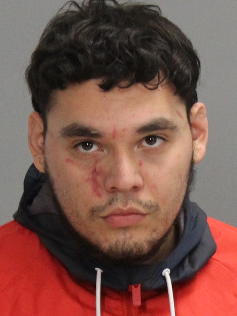 Torres, Raiden arrested by Brazos County SO/PD
