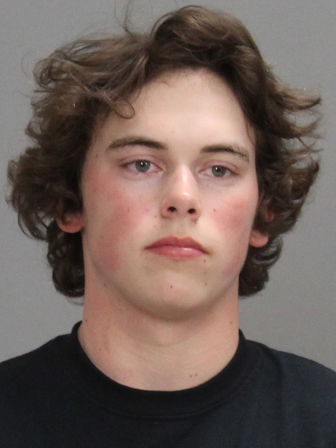 McMichael, Wyatt Dale booking photo