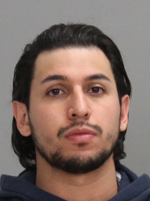Medina, David booking photo