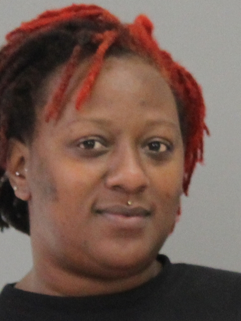 HORNES, SHAUNYELLE MONIQUE booking photo