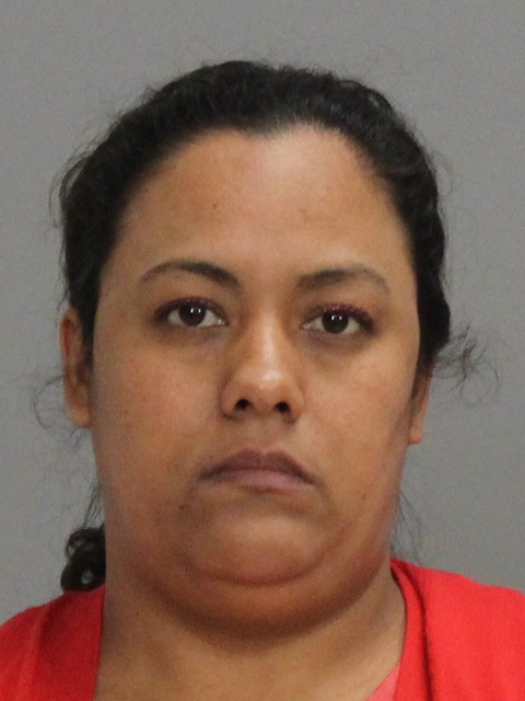 REYES DE HIDALGO, SANDRA CAROLINA arrested by Brazos County SO/PD