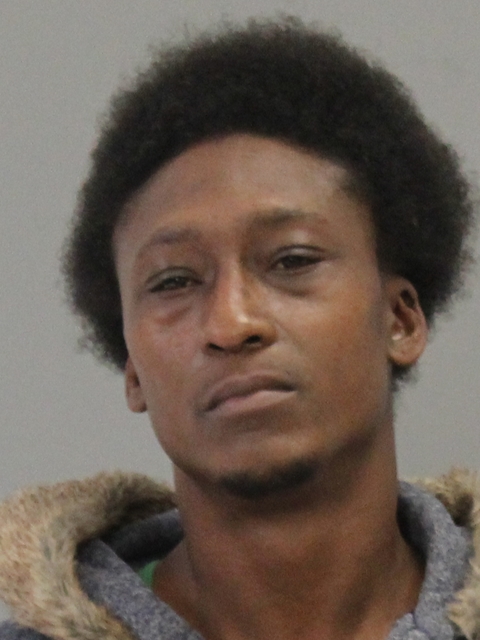 MINOR, NATHAN ANDREA booking photo