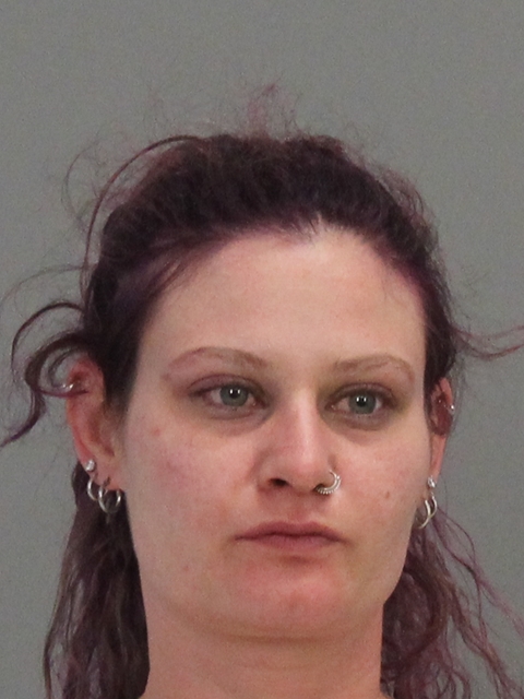 PETRISKIE, NICOLE ANN arrested by Brazos County SO/PD