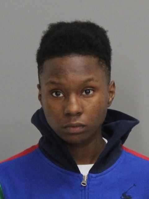 Hall, Malaysia arrested by Brazos County SO/PD