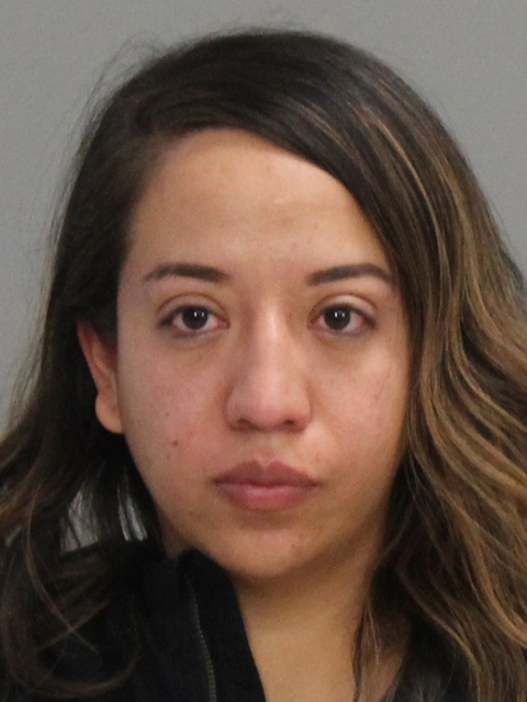 LOPEZ-TOVAR, ANA Linda arrested by Brazos County SO/PD