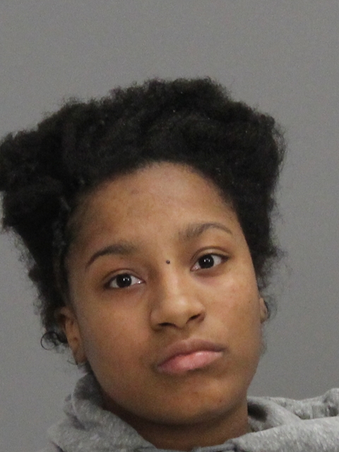 LANGFORD, TRAVIANNA arrested by Brazos County SO/PD