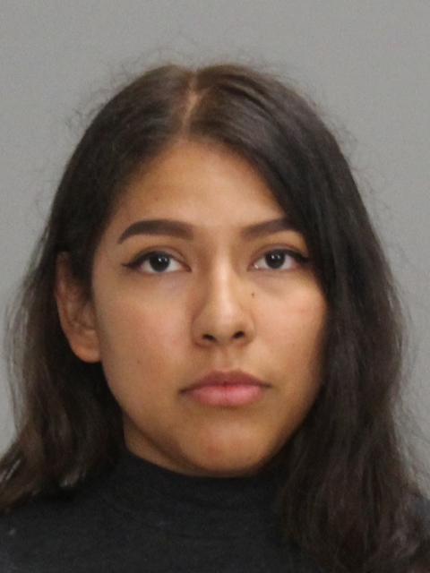 PINA, GLADYS arrested by Brazos County SO/PD