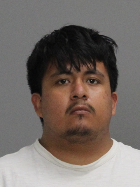 TZUNUM RAMIREZ, LUIS ALBERTO arrested by Brazos County SO/PD