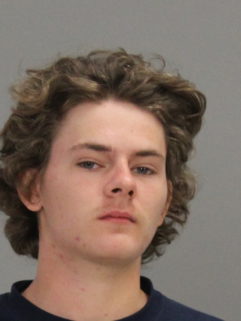 DESPAIN, MASON booking photo