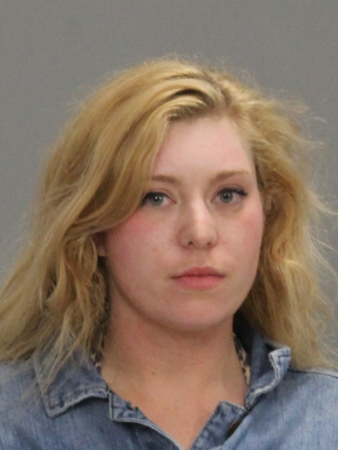 GOODIN, HANNAH NICOLE booking photo